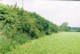 hedgerow_2.jpg (34 KB)