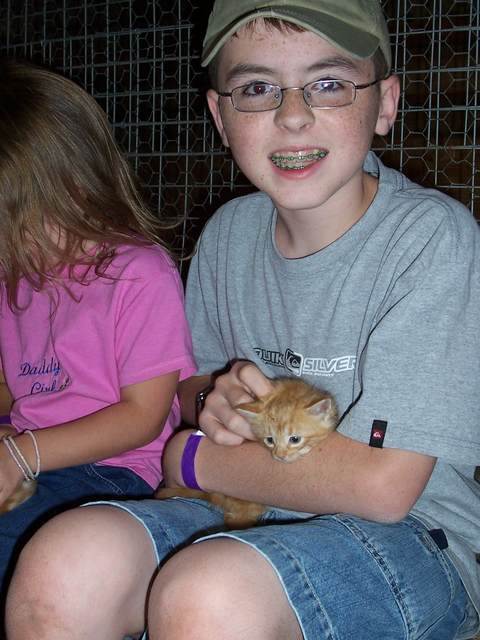 Kitten 5.JPG